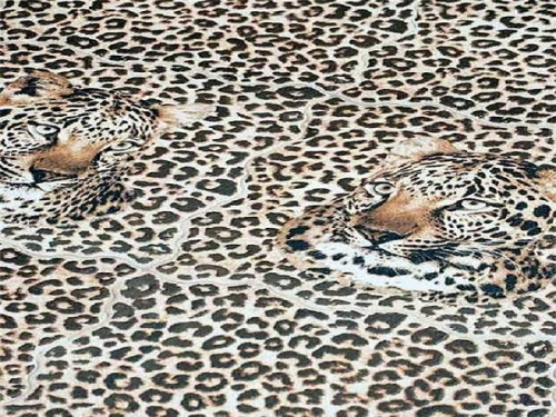 Oset Leopard Decor Izqd (левый) 31x31