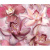 Cerrol Porto flowers Porto Flowers &quot;Orchide lila&quot; 60x50